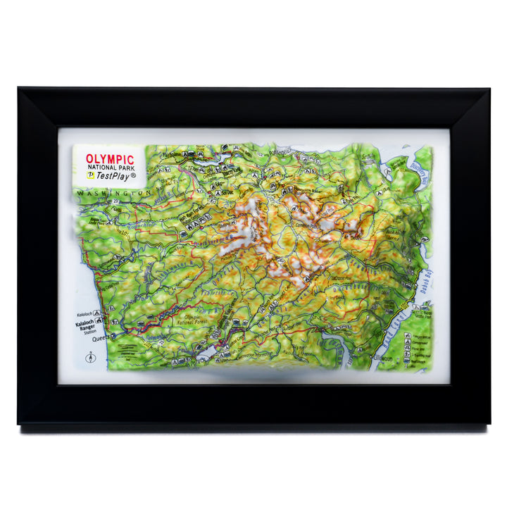 TestPlayNA 3D raised relief map of Olympic National Park showing coastline, rainforest, and mountains