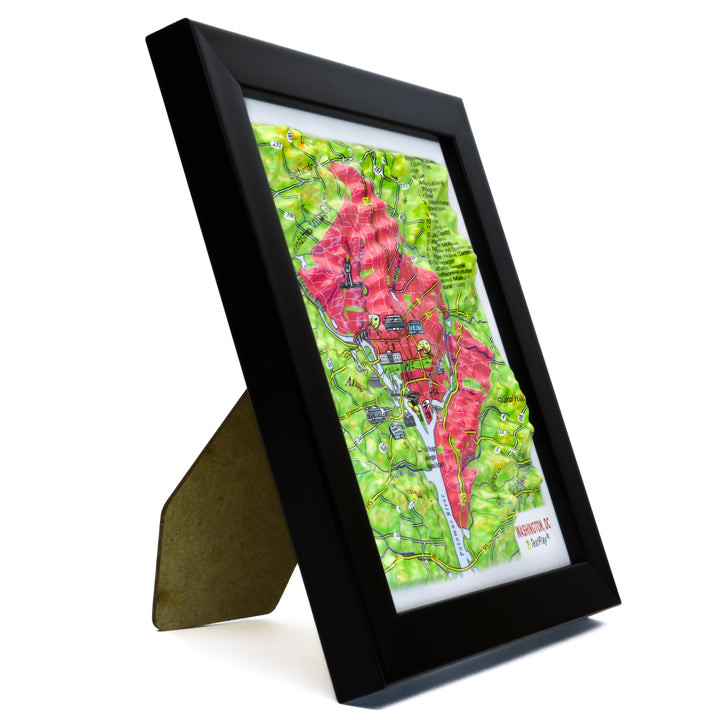 TestPlayNA 3D raised relief map of Washington, DC showing city layout and landmarks
