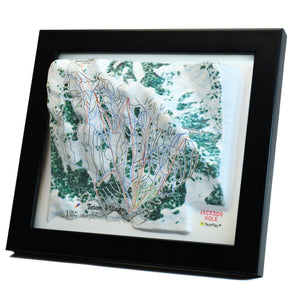 TestPlayNA 3D ski resort map of Jackson Hole, Tetons showing steep terrain, runs, and lifts