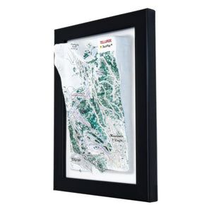 TestPlayNA 3D ski resort map of Telluride showing diverse terrain, runs, and lifts