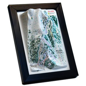 TestPlayNA 3D ski resort map of Telluride showing diverse terrain, runs, and lifts