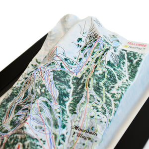 TestPlayNA 3D ski resort map of Telluride showing diverse terrain, runs, and lifts