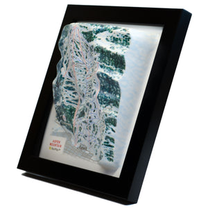 TestPlayNA 3D ski resort map of Aspen Mountain showing challenging terrain and lifts