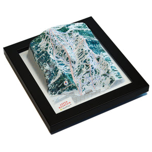 TestPlayNA 3D ski resort map of Aspen Mountain showing challenging terrain and lifts