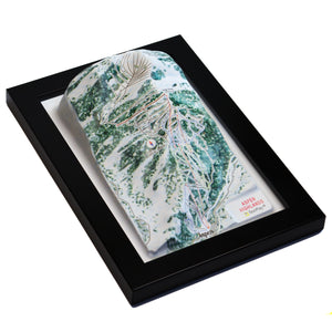 TestPlayNA 3D ski resort map of Aspen Highlands showing challenging terrain and lifts