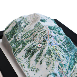 TestPlayNA 3D ski resort map of Aspen Highlands showing challenging terrain and lifts