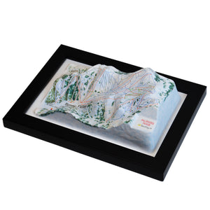 TestPlayNA 3D ski resort map of Palisades Tahoe, Lake Tahoe showing terrain, runs, and lifts
