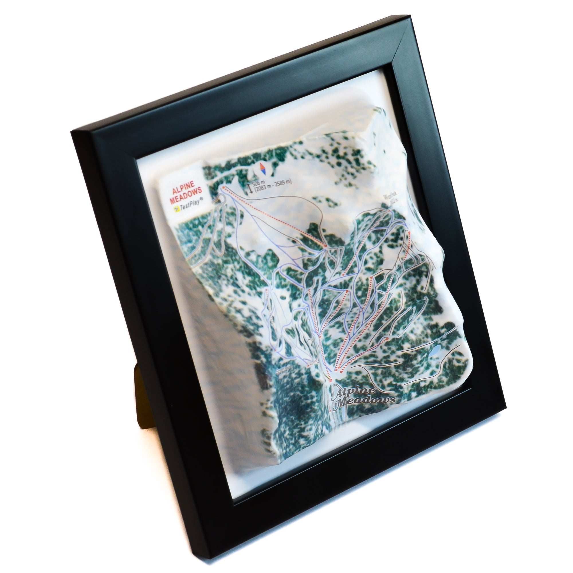 TestPlayNA 3D ski resort map of Alpine Meadows showing terrain, runs, and lifts