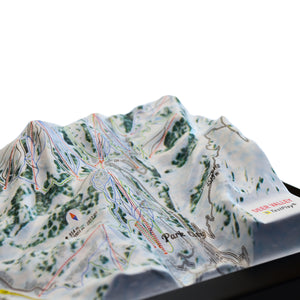 TestPlayNA 3D ski resort map of Deer Valley showing groomed trails and terrain