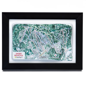TestPlayNA 3D ski resort map of Okemo Mountain showing terrain, trails, and lifts