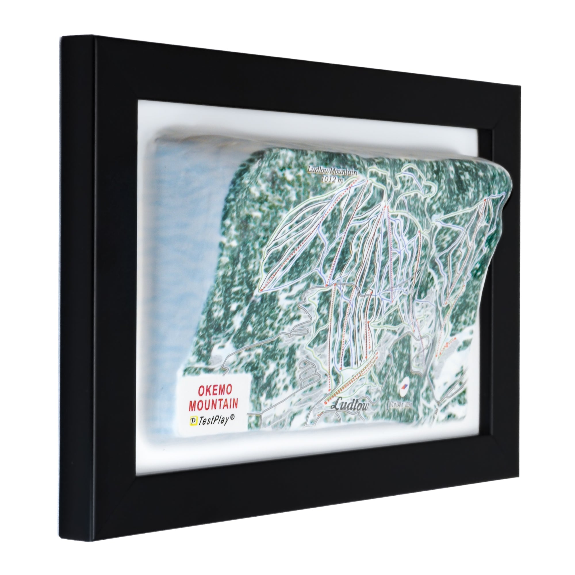 TestPlayNA 3D ski resort map of Okemo Mountain showing terrain, trails, and lifts