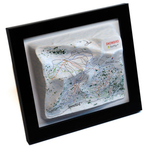 TestPlayNA 3D ski resort map of Snowbird showing mountains, terrain, and lifts