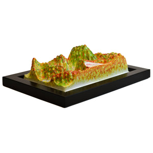 TestPlayNA 3D raised relief map of Grand Canyon National Park showing the gorge and Colorado River