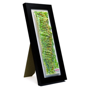 TestPlayNA 3D raised relief map of Shenandoah National Park showing the Blue Ridge Mountains and Skyline Drive