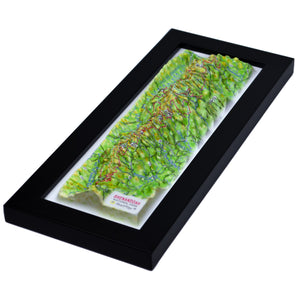 TestPlayNA 3D raised relief map of Shenandoah National Park showing the Blue Ridge Mountains and Skyline Drive