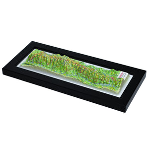 TestPlayNA 3D raised relief map of Shenandoah National Park showing the Blue Ridge Mountains and Skyline Drive