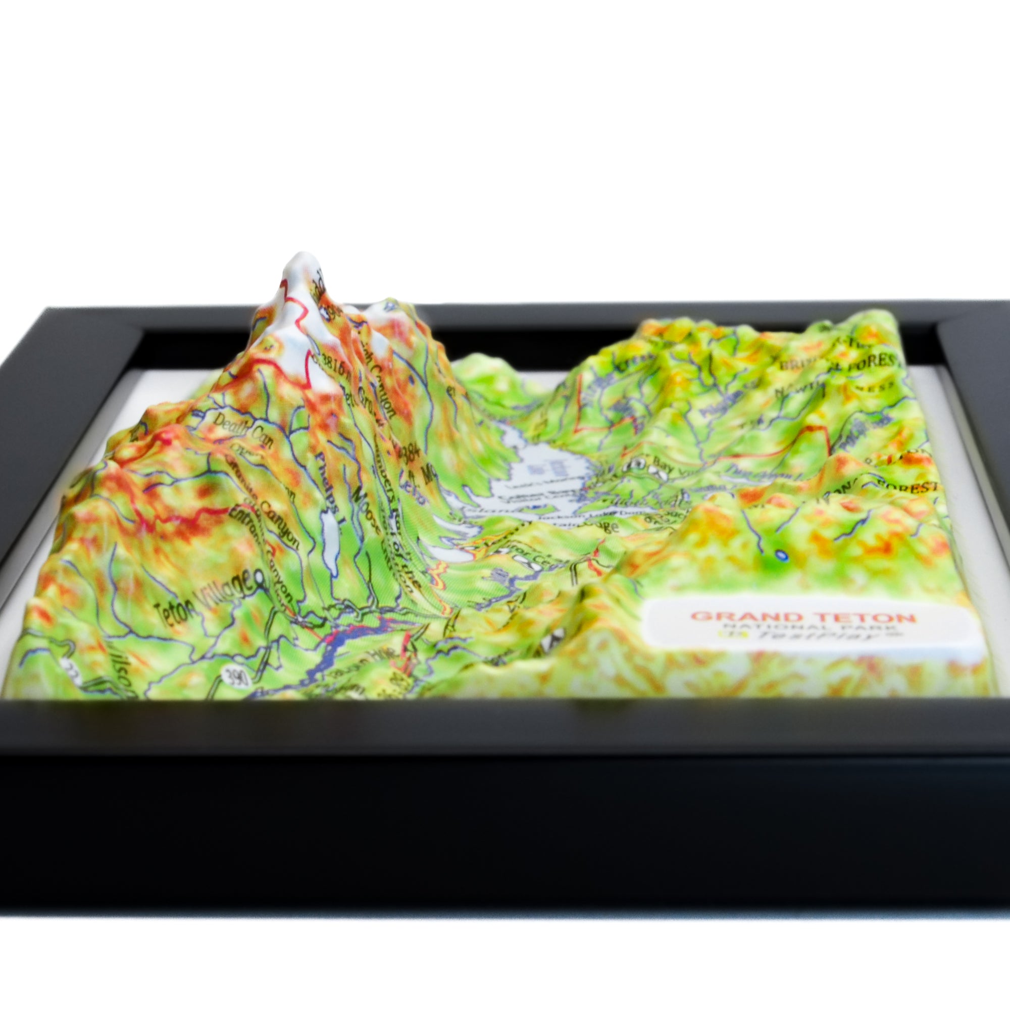 TestPlayNA 3D raised relief map of Grand Teton National Park showing the Teton Range and Jackson Lake