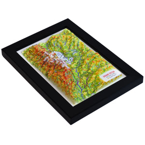 TestPlayNA 3D raised relief map of Grand Teton National Park showing the Teton Range and Jackson Lake