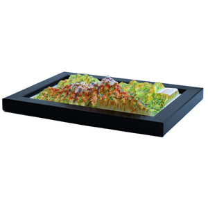 TestPlayNA 3D raised relief map of Grand Teton National Park showing the Teton Range and Jackson Lake