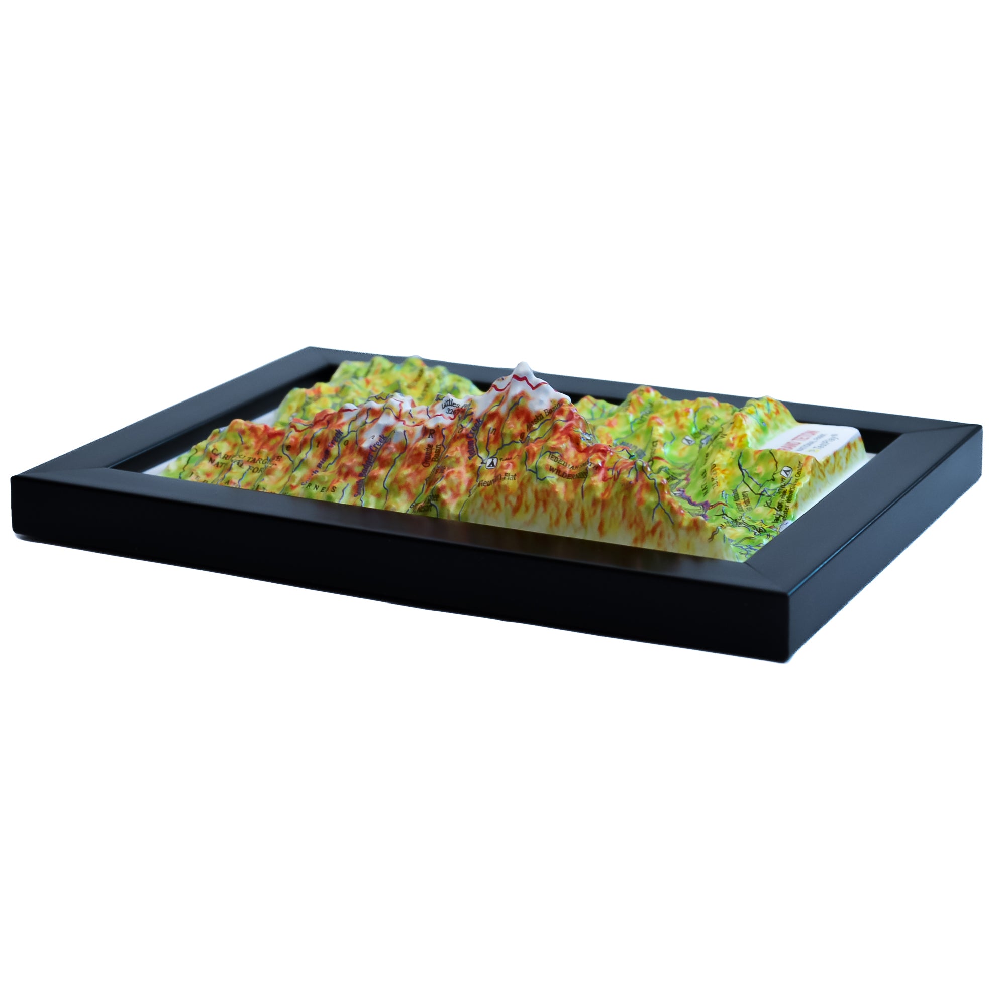 TestPlayNA 3D raised relief map of Grand Teton National Park showing the Teton Range and Jackson Lake