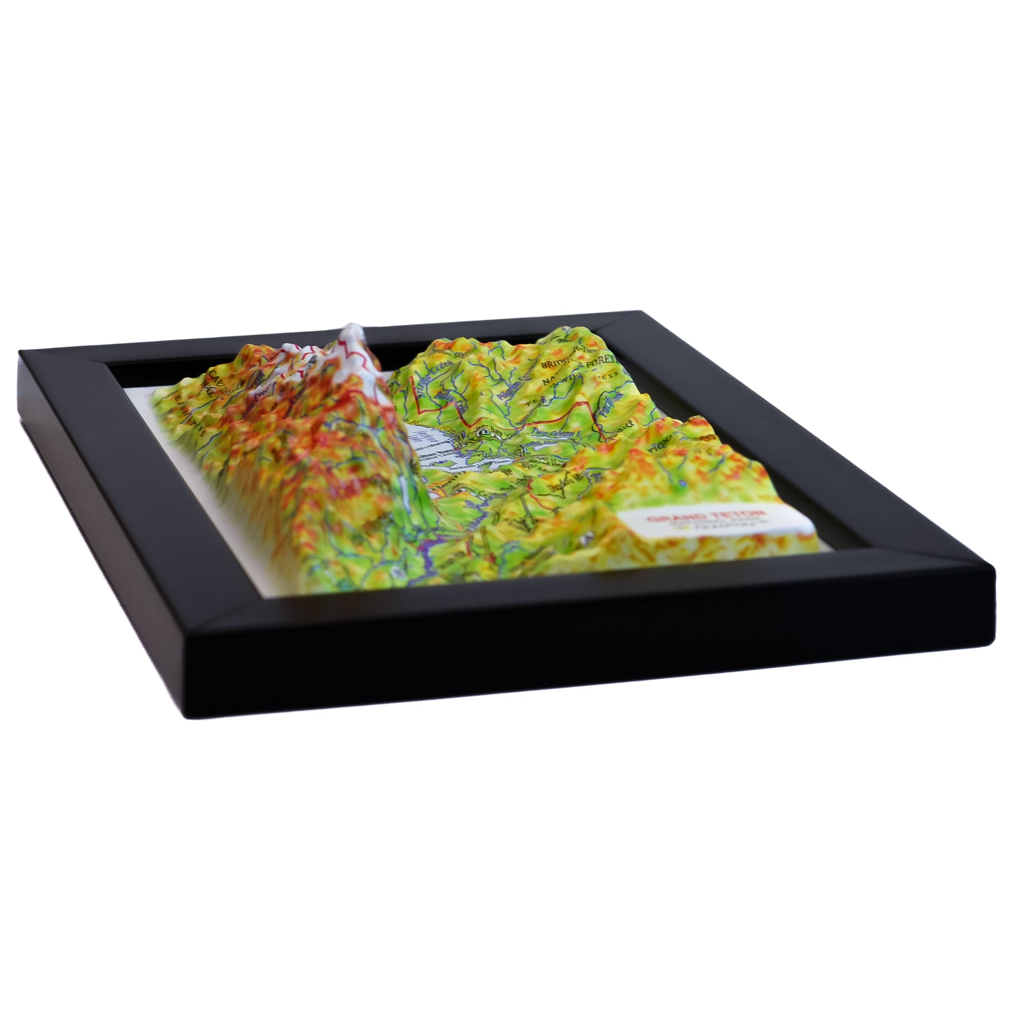 TestPlayNA 3D raised relief map of Grand Teton National Park showing the Teton Range and Jackson Lake