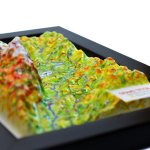 TestPlayNA 3D raised relief map of Grand Teton National Park showing the Teton Range and Jackson Lake