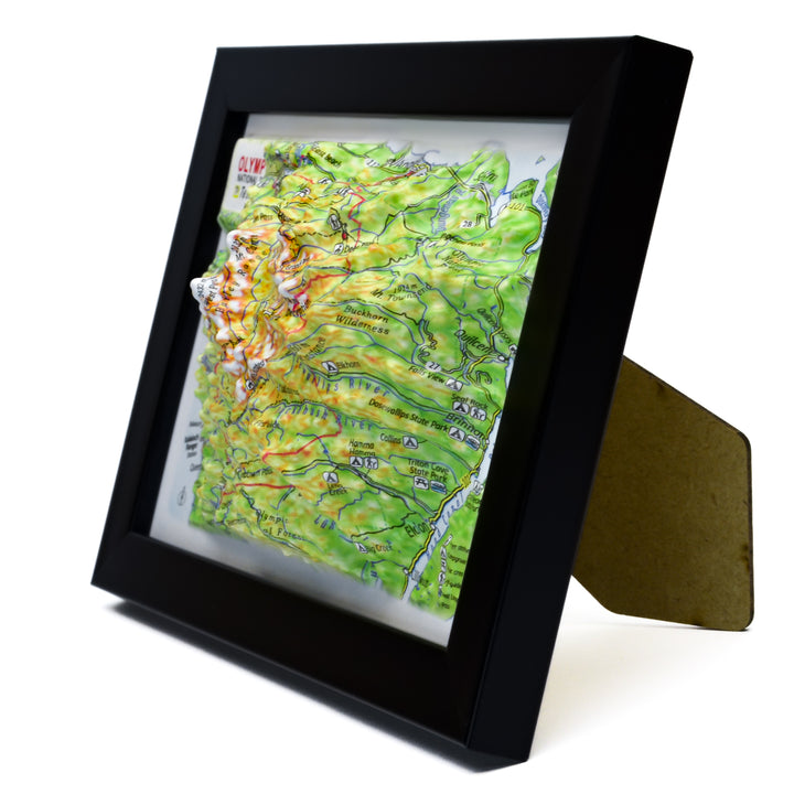 TestPlayNA 3D raised relief map of Olympic National Park showing coastline, rainforest, and mountains