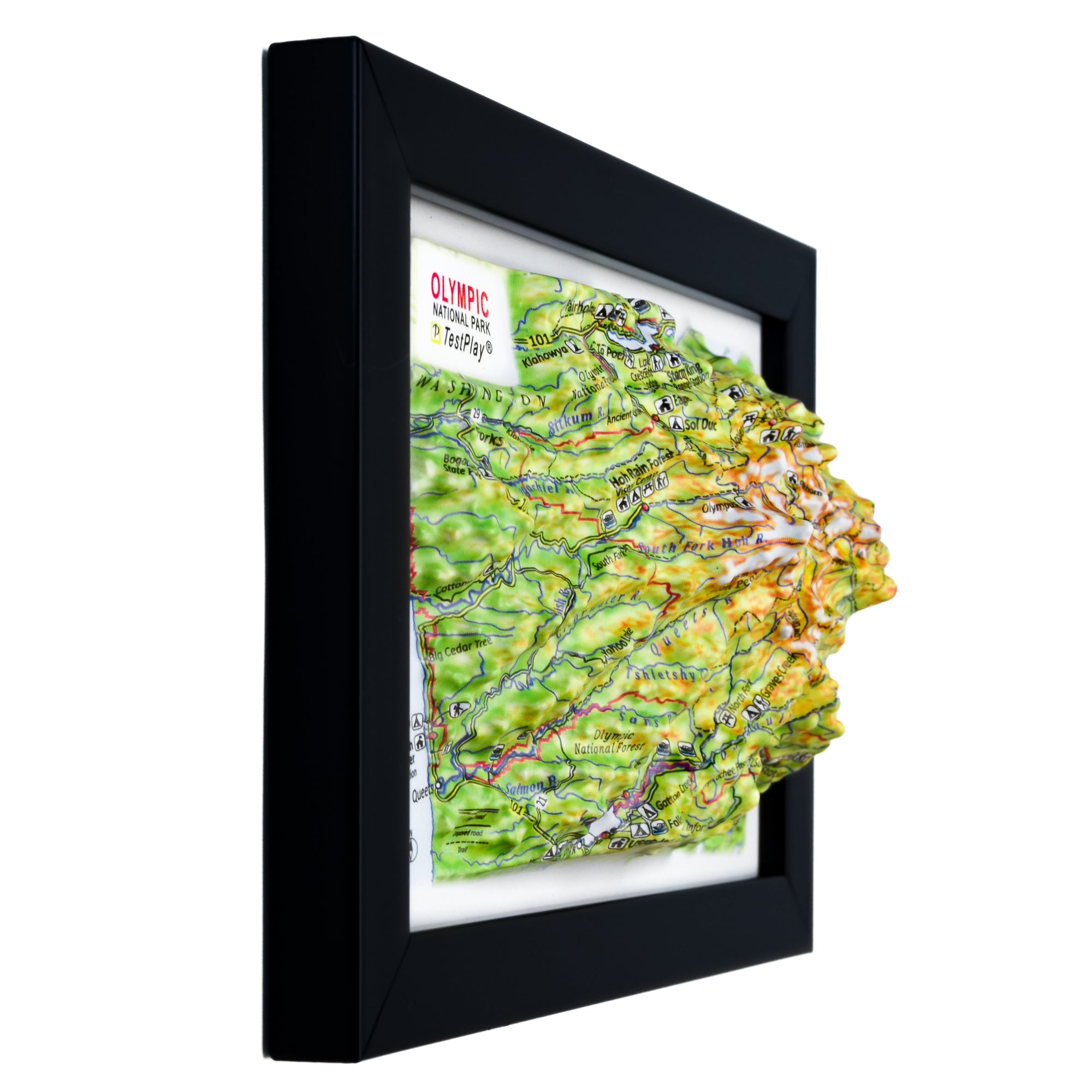 TestPlayNA 3D raised relief map of Olympic National Park showing coastline, rainforest, and mountains