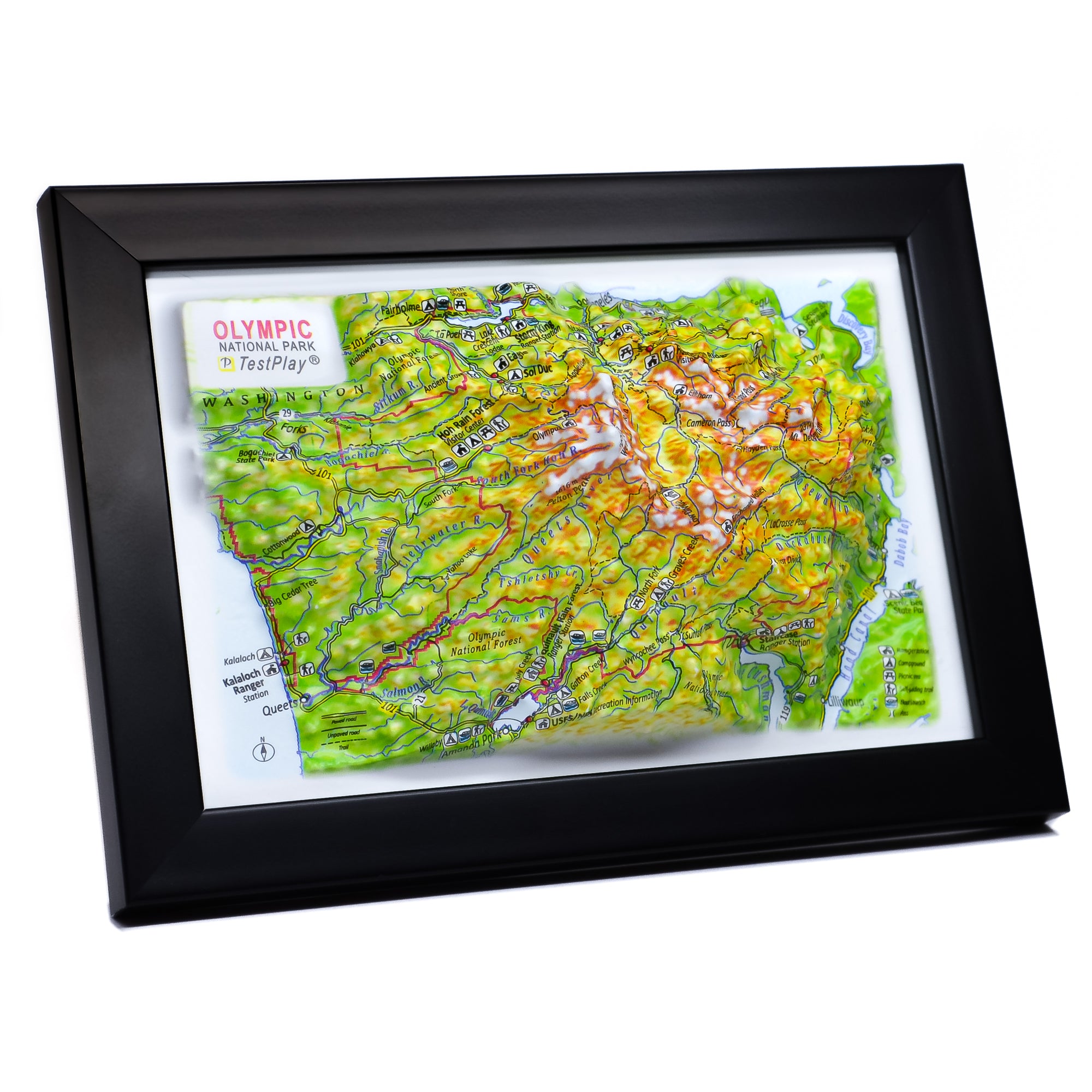 TestPlayNA 3D raised relief map of Olympic National Park showing coastline, rainforest, and mountains