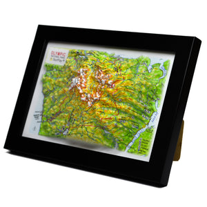 TestPlayNA 3D raised relief map of Olympic National Park showing coastline, rainforest, and mountains