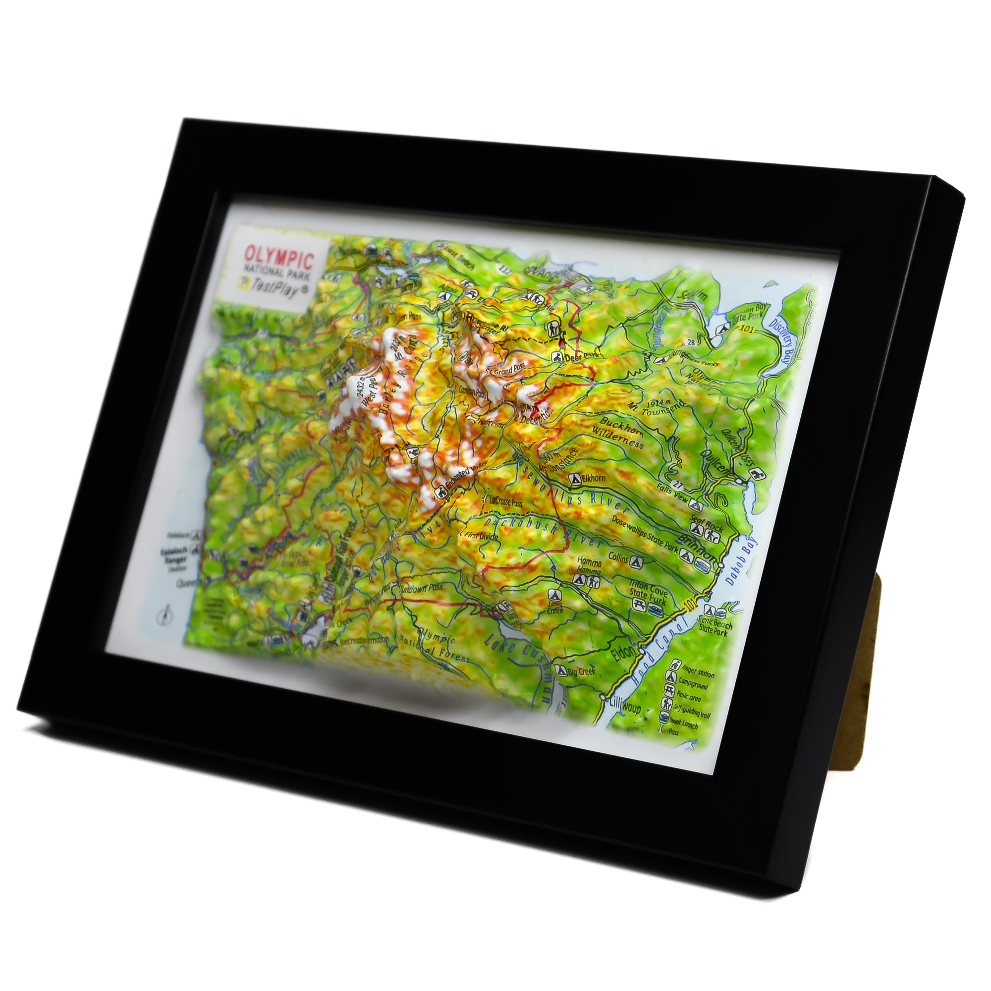 TestPlayNA 3D raised relief map of Olympic National Park showing coastline, rainforest, and mountains