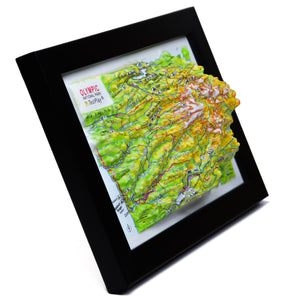 TestPlayNA 3D raised relief map of Olympic National Park showing coastline, rainforest, and mountains