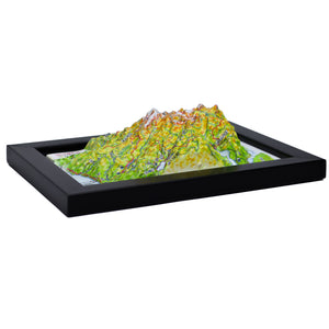 TestPlayNA 3D raised relief map of Olympic National Park showing coastline, rainforest, and mountains