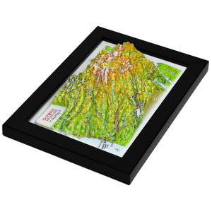 TestPlayNA 3D raised relief map of Olympic National Park showing coastline, rainforest, and mountains