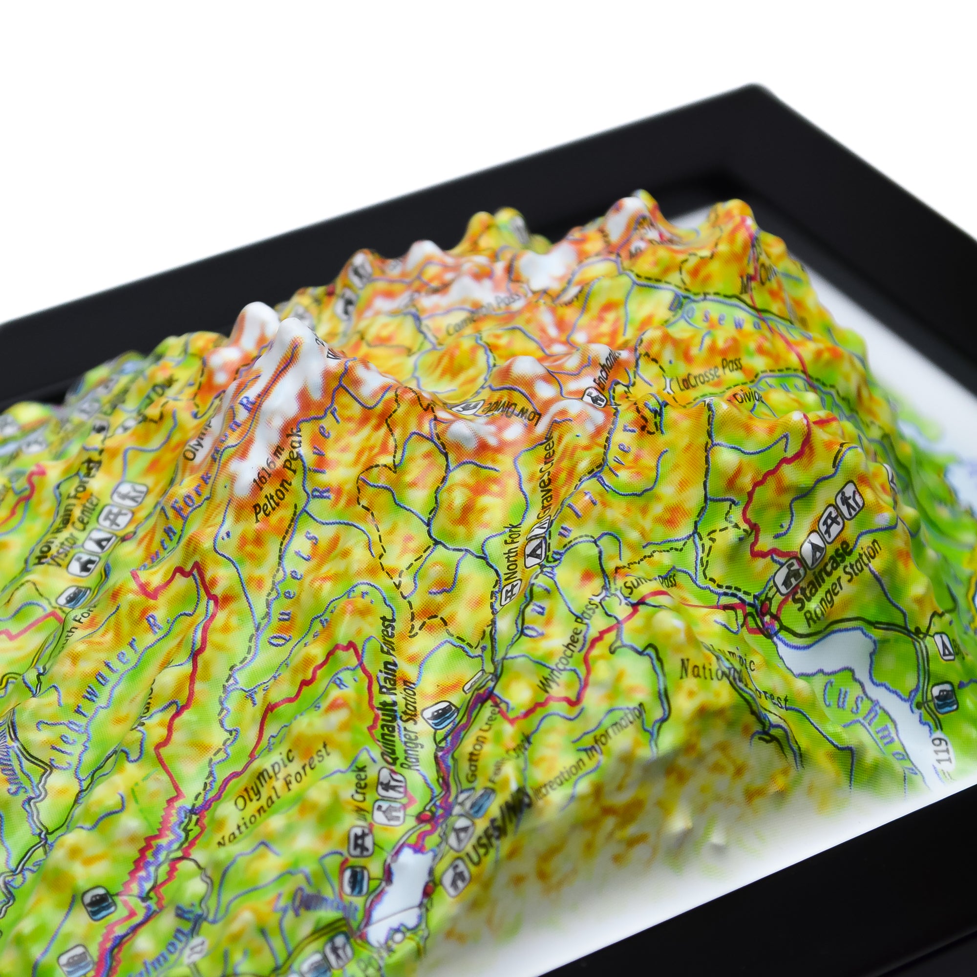 TestPlayNA 3D raised relief map of Olympic National Park showing coastline, rainforest, and mountains