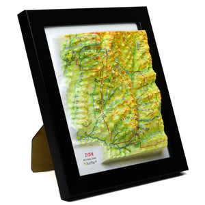 TestPlayNA 3D raised relief map of Zion National Park showing canyons and the Virgin River