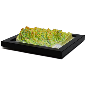 TestPlayNA 3D raised relief map of Zion National Park showing canyons and the Virgin River