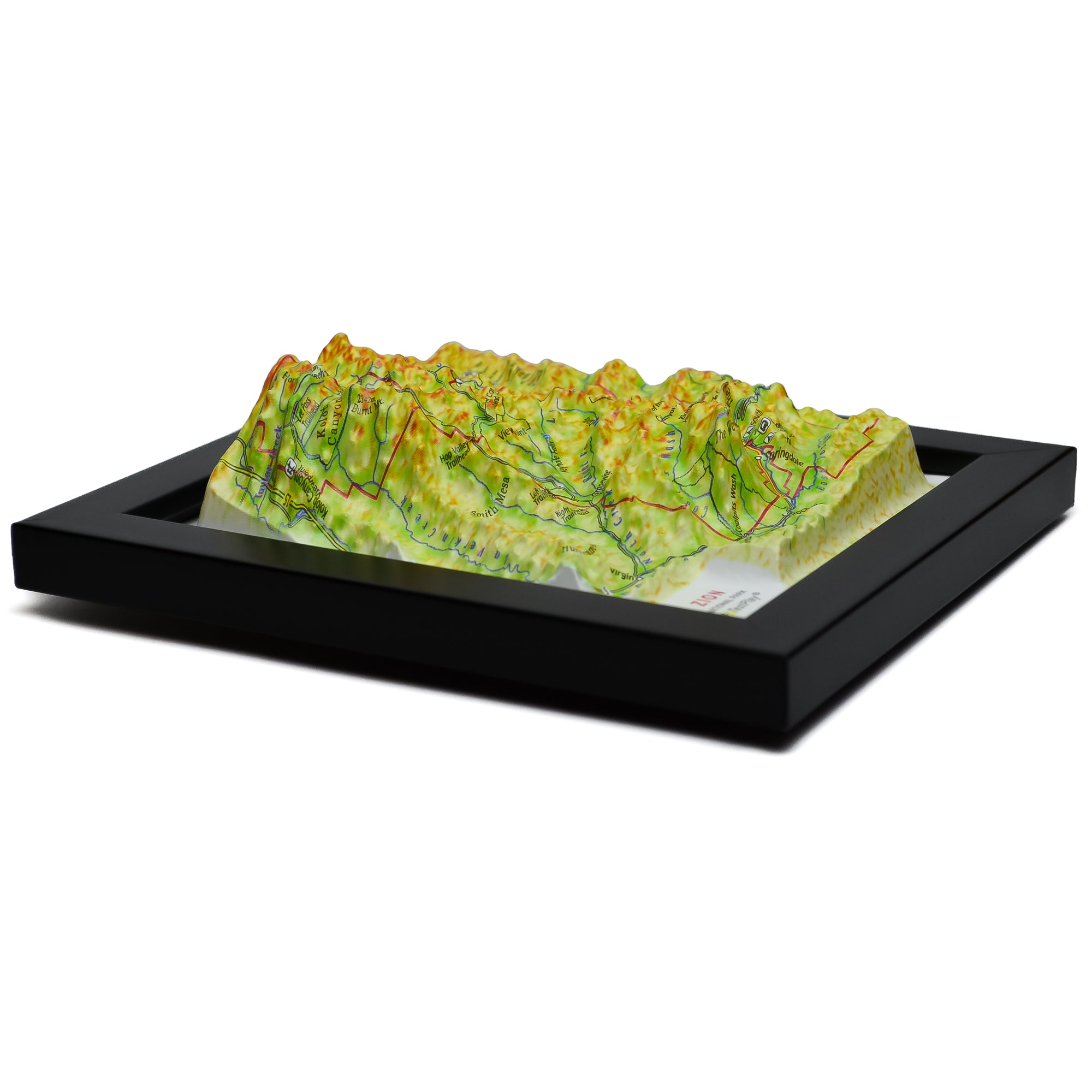TestPlayNA 3D raised relief map of Zion National Park showing canyons and the Virgin River