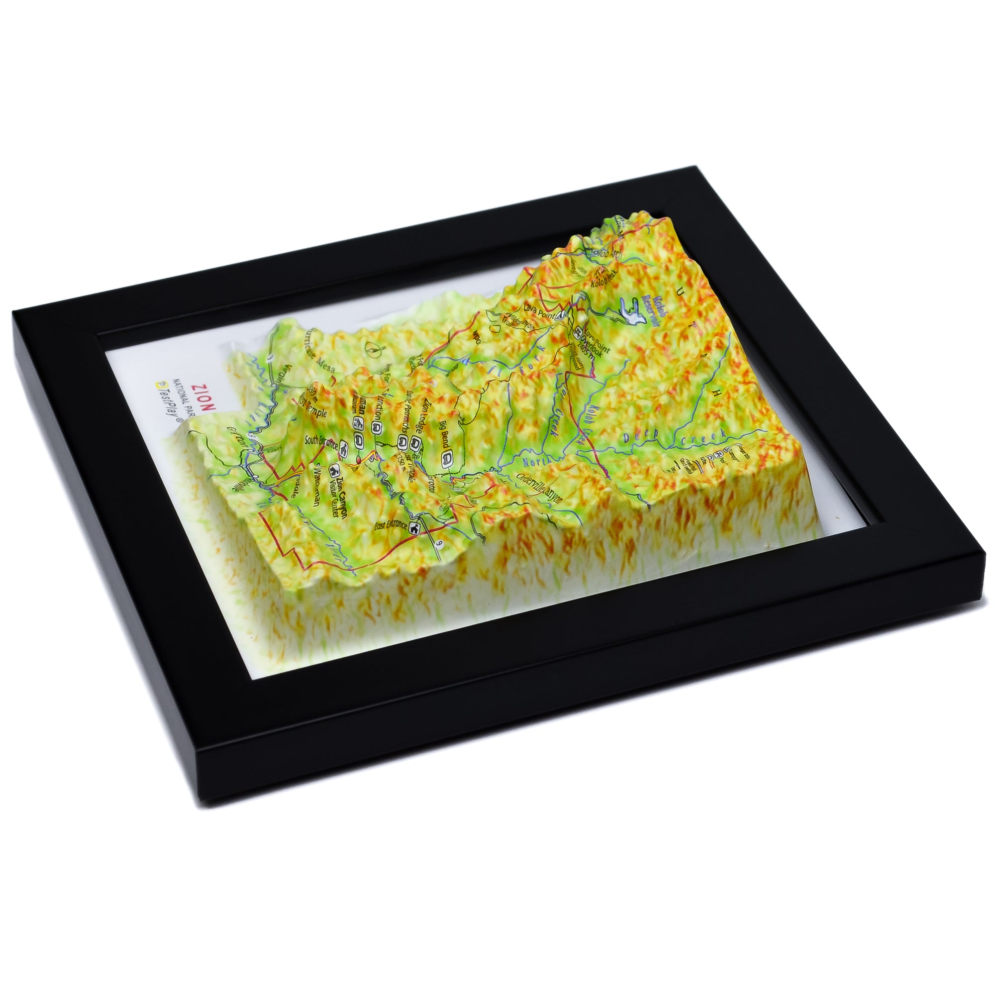 TestPlayNA 3D raised relief map of Zion National Park showing canyons and the Virgin River
