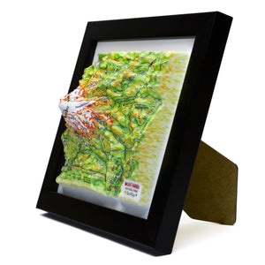 TestPlayNA 3D raised relief map of Mount Rainier National Park showing the volcano, glaciers, and surrounding terrain