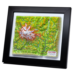 TestPlayNA 3D raised relief map of Mount Rainier National Park showing the volcano, glaciers, and surrounding terrain
