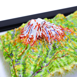 TestPlayNA 3D raised relief map of Mount Rainier National Park showing the volcano, glaciers, and surrounding terrain