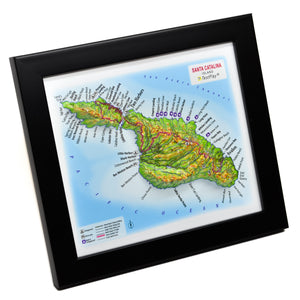 TestPlayNA 3D map of Santa Catalina Island showing the island's terrain, coastline, and Mount Orizaba.