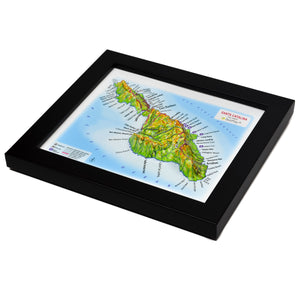 TestPlayNA 3D map of Santa Catalina Island showing the island's terrain, coastline, and Mount Orizaba.