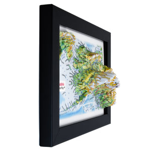 TestPlayNA 3D raised relief map of Alaska showing Mount Denali and mountain ranges