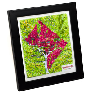 TestPlayNA 3D raised relief map of Washington, DC showing city layout and landmarks
