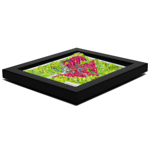TestPlayNA 3D raised relief map of Washington, DC showing city layout and landmarks