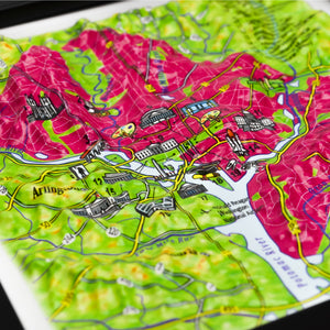 TestPlayNA 3D raised relief map of Washington, DC showing city layout and landmarks