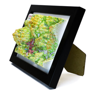 TestPlayNA 3D raised relief map of Las Vegas showing urban layout and surrounding terrain
