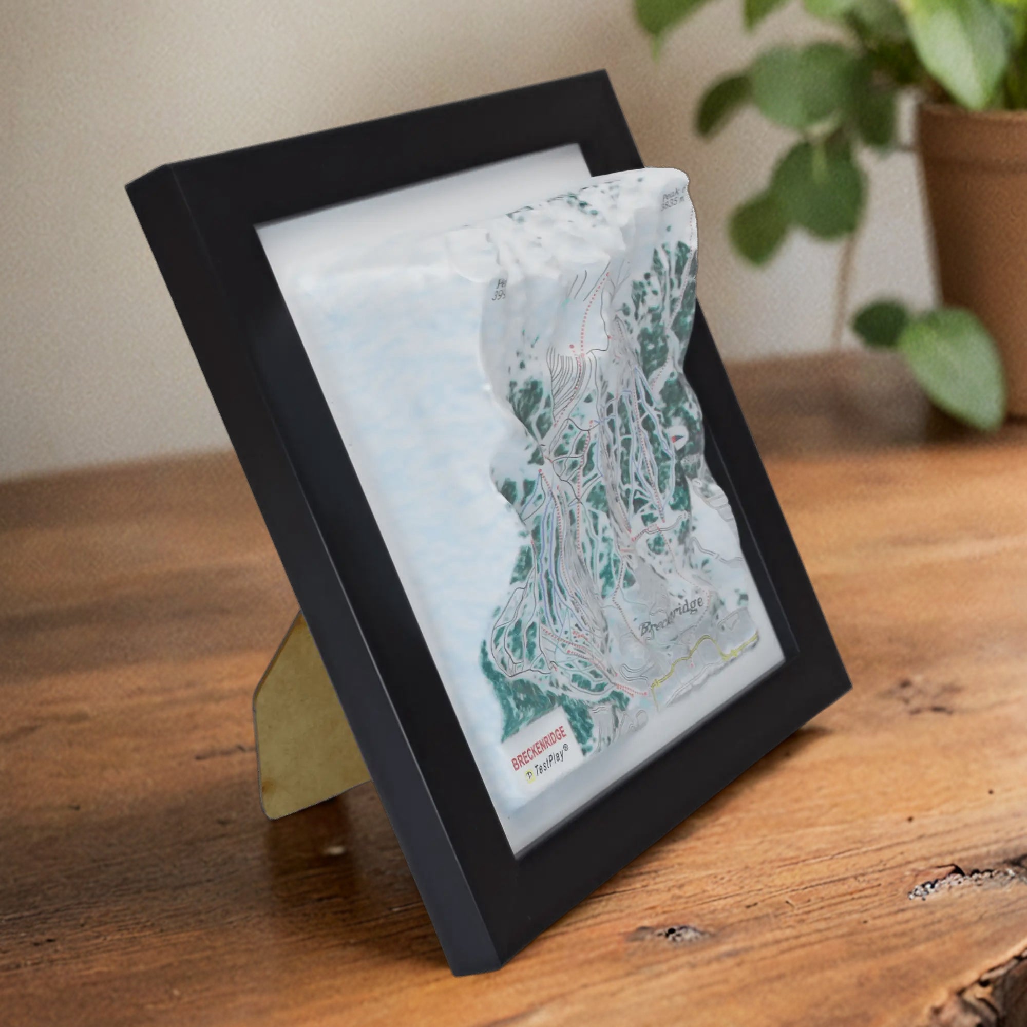 TESTPLAY Breckenridge Ski Area 3D raised relief map showing topography, lifts and ski runs.